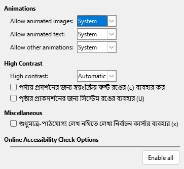 Options Accessibility Dialog Image