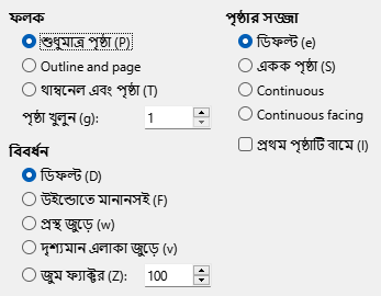 PDF Export View Options Dialog Image