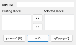 Define Custom Slide Show Dialog
